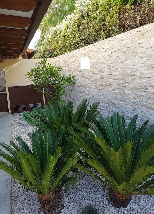 סן ויטו לו קאפו B&B Aloe Comfort Rooms מראה חיצוני תמונה