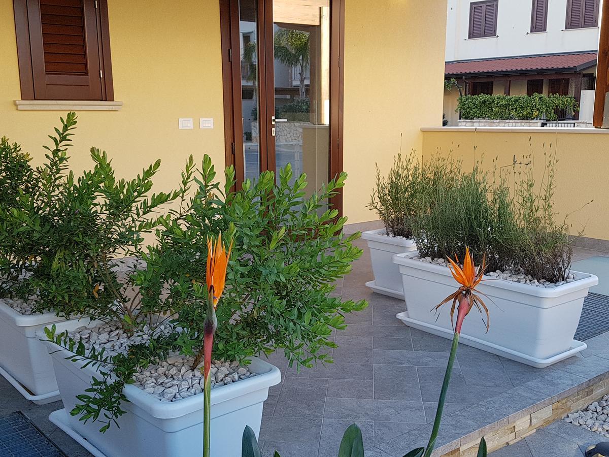 סן ויטו לו קאפו B&B Aloe Comfort Rooms מראה חיצוני תמונה